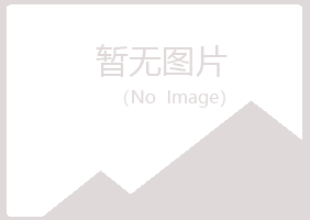 巢湖夏岚能源有限公司